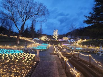 修善寺虹の郷に投稿された画像（2024/4/20）