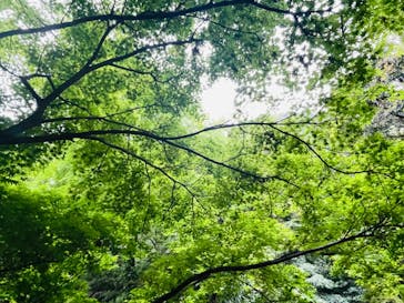 仙巌園に投稿された画像（2024/4/20）