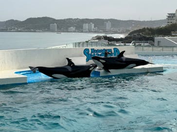 鴨川シーワールドに投稿された画像（2024/4/20）