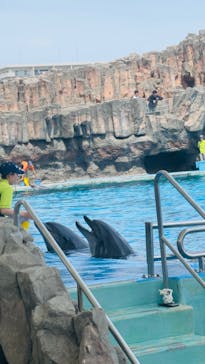 名古屋港水族館に投稿された画像（2024/4/21）