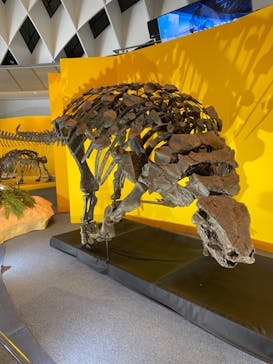 オダイバ恐竜博覧会2024 -福井から“ヤツラ”が新幹線でやってくる！-に投稿された画像（2024/4/21）