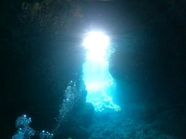 武藤潜水に投稿された画像（2024/4/21）