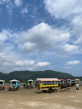 西表島 ADVENTURE PiPi（アドベンチャーピピ）に投稿された画像（2024/4/21）