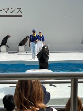 鴨川シーワールドに投稿された画像（2024/4/21）