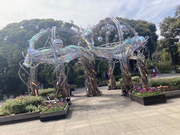 江の島1dayに投稿された画像（2024/4/21）