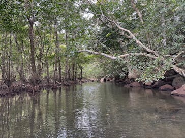 西表島 ADVENTURE PiPi（アドベンチャーピピ）に投稿された画像（2024/4/21）