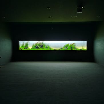 AOAO SAPPOROに投稿された画像（2024/4/21）