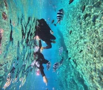 沖縄マリンサービス碧に投稿された画像（2024/4/21）