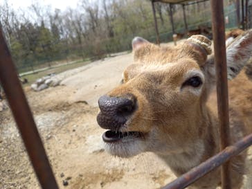 那須サファリパークに投稿された画像（2024/4/21）