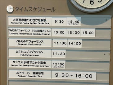大分マリーンパレス水族館 「うみたまご」に投稿された画像（2024/4/21）