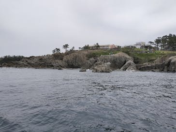 東尋坊観光遊覧船株式会社に投稿された画像（2024/4/21）