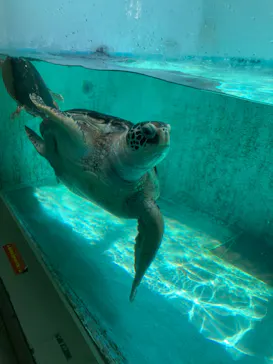仙台うみの杜水族館に投稿された画像（2024/4/21）