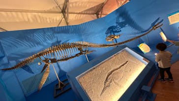 オダイバ恐竜博覧会2024 -福井から“ヤツラ”が新幹線でやってくる！-に投稿された画像（2024/4/21）