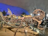 福井県立恐竜博物館に投稿された画像（2024/4/21）