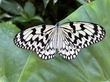 琉球村に投稿された画像（2024/4/21）