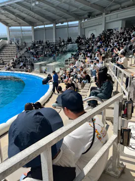 仙台うみの杜水族館に投稿された画像（2024/4/21）