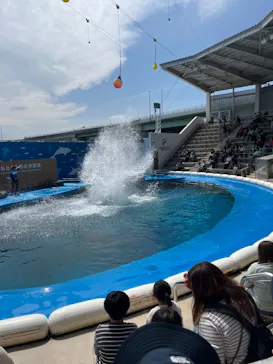 仙台うみの杜水族館に投稿された画像（2024/4/21）