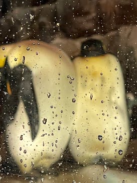 名古屋港水族館に投稿された画像（2024/4/21）