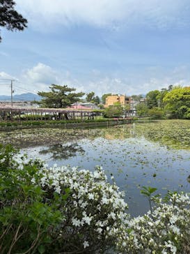 小田原城に投稿された画像（2024/4/21）