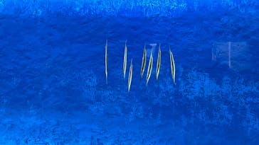 大分マリーンパレス水族館 「うみたまご」に投稿された画像（2024/4/21）