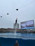 名古屋港水族館に投稿された画像（2024/4/21）