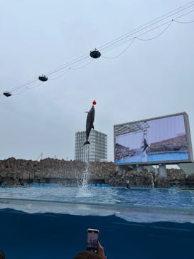 名古屋港水族館に投稿された画像（2024/4/21）