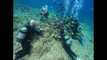 武藤潜水に投稿された画像（2024/4/21）