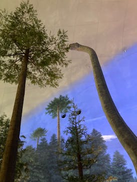 福井県立恐竜博物館に投稿された画像（2024/4/21）