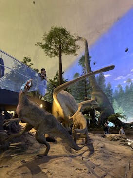 福井県立恐竜博物館に投稿された画像（2024/4/21）