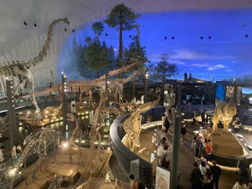 福井県立恐竜博物館に投稿された画像（2024/4/21）