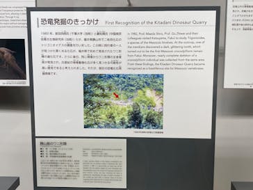 福井県立恐竜博物館に投稿された画像（2024/4/21）