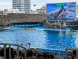 名古屋港水族館に投稿された画像（2024/4/21）
