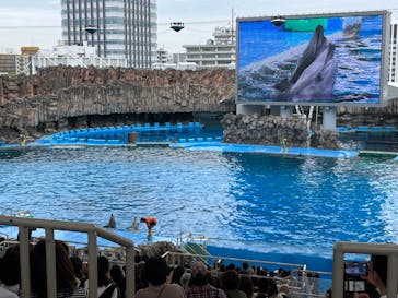 名古屋港水族館に投稿された画像（2024/4/21）