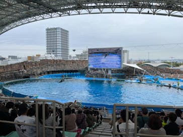 名古屋港水族館に投稿された画像（2024/4/21）
