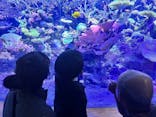 名古屋港水族館に投稿された画像（2024/4/21）
