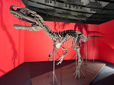 オダイバ恐竜博覧会2024 -福井から“ヤツラ”が新幹線でやってくる！-に投稿された画像（2024/4/21）