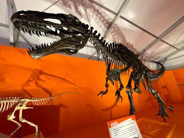 オダイバ恐竜博覧会2024 -福井から“ヤツラ”が新幹線でやってくる！-に投稿された画像（2024/4/21）