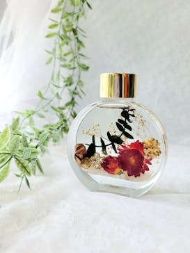 ずこうしつ〜sugamo〜に投稿された画像（2024/4/21）