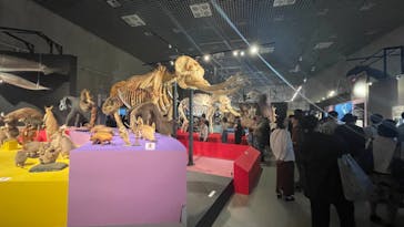 特別展「大哺乳類展３－わけてつなげて大行進」に投稿された画像（2024/4/21）