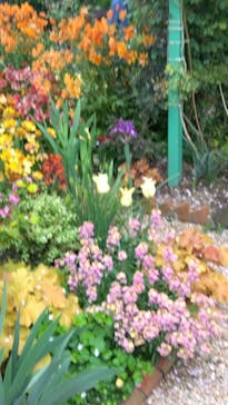 浜名湖花博2024に投稿された画像（2024/4/21）