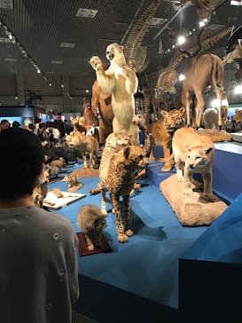 特別展「大哺乳類展３－わけてつなげて大行進」に投稿された画像（2024/4/21）