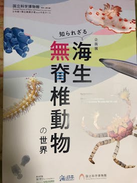 特別展「大哺乳類展３－わけてつなげて大行進」に投稿された画像（2024/4/21）