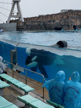 名古屋港水族館に投稿された画像（2024/4/21）