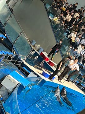 マクセル アクアパーク品川に投稿された画像（2024/4/21）