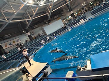 マクセル アクアパーク品川に投稿された画像（2024/4/21）