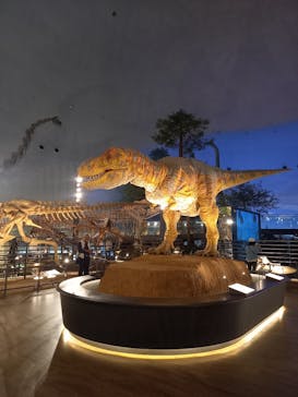 福井県立恐竜博物館に投稿された画像（2024/4/21）