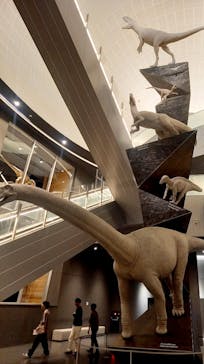 福井県立恐竜博物館に投稿された画像（2024/4/21）