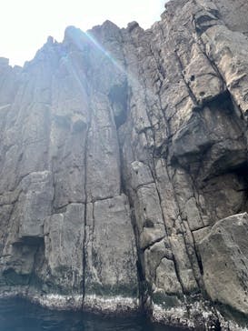 東尋坊観光遊覧船株式会社に投稿された画像（2024/4/21）