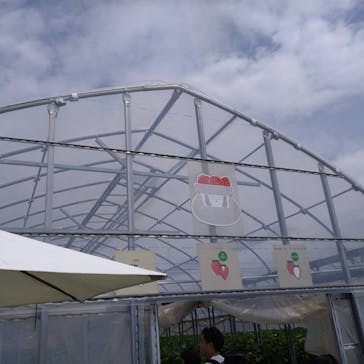 ICHIGOHOUSE.MITAKAに投稿された画像（2024/4/21）