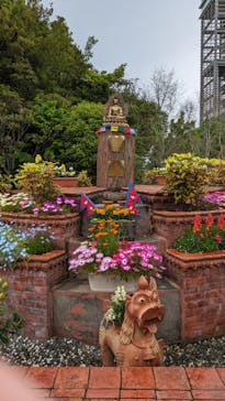 浜名湖花博2024に投稿された画像（2024/4/21）